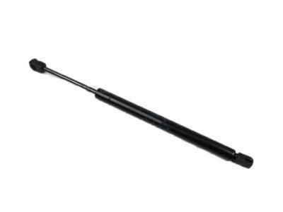 Ford 6W1Z-16C826-AB Lift Cylinder, Driver Side 6W1Z-16C826-AB Ford Lift Cylinder, Driver Side Product Photo 1 of 1
