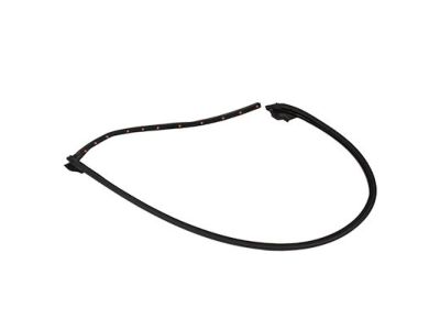 2T1Z-1525325-A Ford Door Weatherstrip, Rear Driver Side Product Photo 2 of 4
