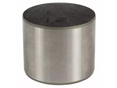 Ford BM5Z-6500-DAMA Tappet - Valve BM5Z-6500-DAMA Ford Tappet - Valve Product Photo 1 of 1