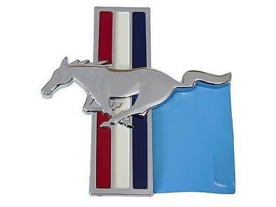 Ford 6R3Z-16228-B Name Plate
