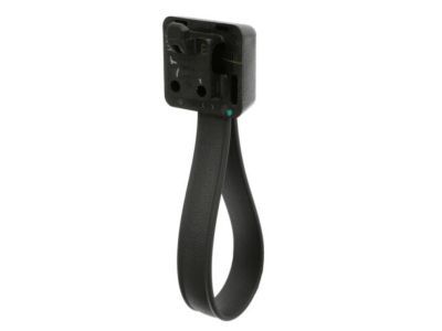 Ford 5L7Z-78434A14-AAA Handle - Luggage Compartment