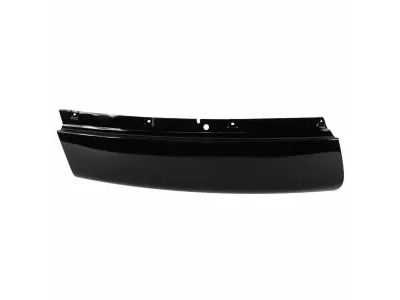2L1Z-78291A08-AA Ford Moulding, Passenger Side Product Photo 2 of 3