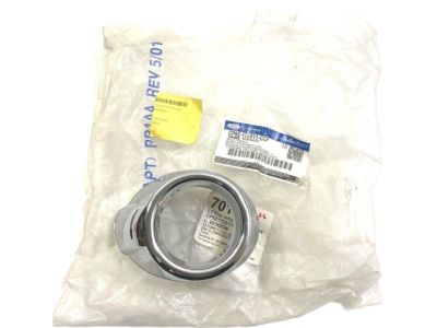 Ford CP9Z-17E811-CCP Grille, Driver Side CP9Z-17E811-CCP Ford Grille, Driver Side Product Photo 1 of 1