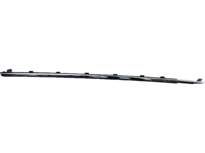 FR3Z-6321453-D Ford Weatherstrip Assembly - Door Window, Driver Side Product Photo 3 of 4