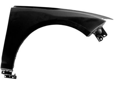 Lincoln DP5Z-16005-A Fender Assembly - Front