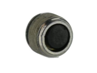 Lincoln 6C2Z-4N282-AA Plug - Magnetic Type