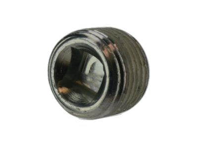 Lincoln 6C2Z-4N282-AA Plug - Magnetic Type
