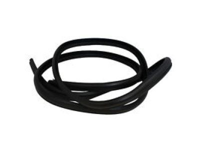 Lincoln Navigator Door Seal - F75Z-7820708-AB