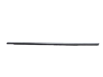 Mercury 6G1Z-5421453-AA Weatherstrip Assembly - Door Window