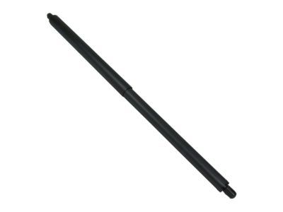 CJ5Z-78406A10-B Ford Lift Cylinder, Rear Passenger Side Product Photo 2 of 3