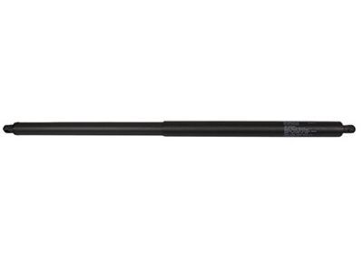Ford CJ5Z-78406A10-B Lift Cylinder, Rear Passenger Side CJ5Z-78406A10-B Ford Lift Cylinder, Rear Passenger Side Product Photo 1 of 3