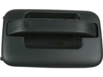 9L3Z-1626604-AB Ford Handle Assembly - Door - Outer, Passenger Side Product Photo 1 of 4
