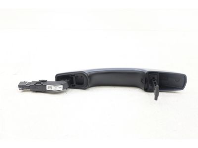 Ford FA1Z-5422404-AAPTM Handle Assembly - Door - Outer, Passenger Side FA1Z-5422404-AAPTM Ford Handle Assembly - Door - Outer, Passenger Side Product Photo 1 of 4