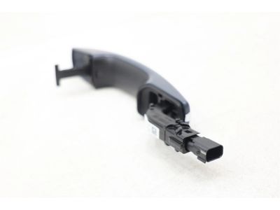 FA1Z-5422404-AAPTM Ford Handle Assembly - Door - Outer, Passenger Side Product Photo 3 of 4