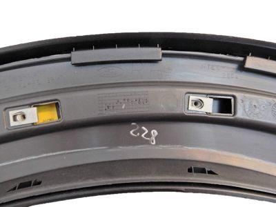 6L2Z-7825556-BAPTM Ford Wheel Opening Molding, Rear Passenger Side Product Photo 5 of 6