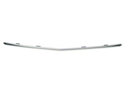 BA1Z-17E810-A Ford Center Molding, Front Product Photo 1 of 1