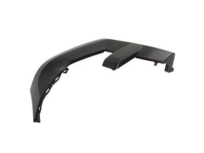 Ford FL3Z-17C755-BPTM Molding - Bumper Bar