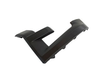 Ford FL3Z-17C755-BPTM Molding - Bumper Bar