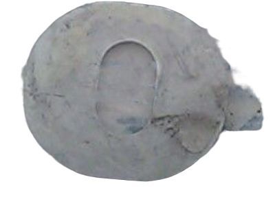 Mercury -W710733-S439 Washer