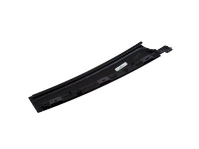 Ford CP9Z-5820554-A Molding - Door Outside