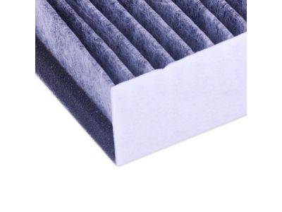 Lincoln CV6Z-19N619-A Pollen Filter