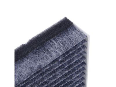 Lincoln CV6Z-19N619-A Pollen Filter
