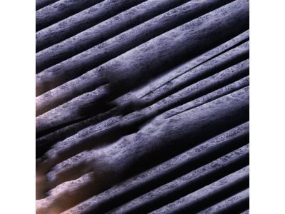Lincoln CV6Z-19N619-A Pollen Filter