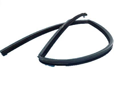 4L1Z-7821546-AA Ford Run Channel, Front Passenger Side Product Photo 8 of 9