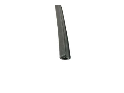 4L1Z-7821546-AA Ford Run Channel, Front Passenger Side Product Photo 3 of 9