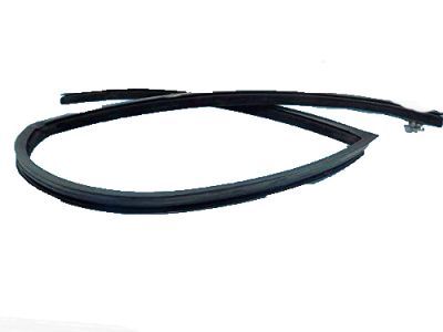 4L1Z-7821546-AA Ford Run Channel, Front Passenger Side Product Photo 7 of 9