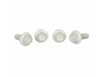 -W500013-S309 Ford Screw Product Photo 1 of 2