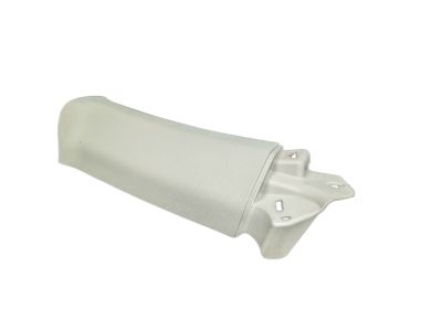 Ford CJ5Z-7852019-AA Trim - C Pillar