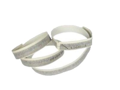 5C3Z-2520000-DAC Ford Stripe Tape, Beige/Sandalwood, Front Passenger Side Product Photo 1 of 1