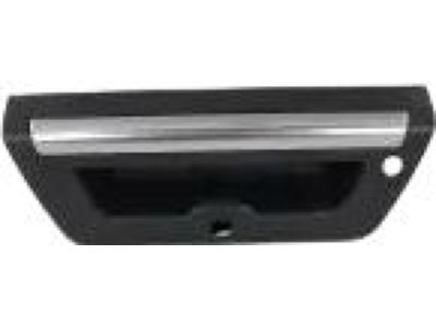 Ford FL3Z-9943400-LAPTM Handle FL3Z-9943400-LAPTM Ford Handle Product Photo 1 of 2