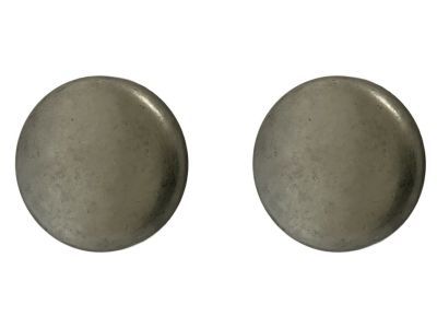 Ford F6AZ-6026-BA Expansion Plug