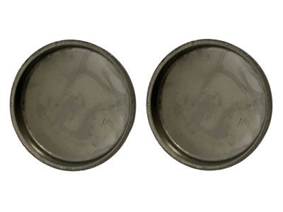 Ford F6AZ-6026-BA Expansion Plug