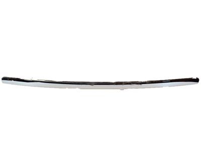 Ford 6L2Z-16856-AA Molding - Front Body Panel