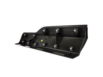 Ford FT4Z-5825557-AB Molding - Door Outside