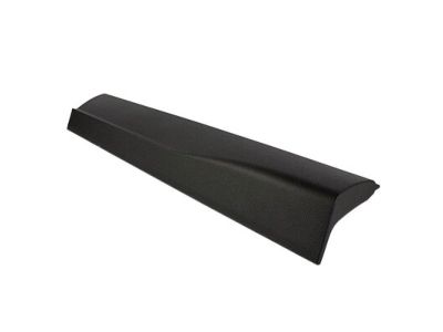 Ford FT4Z-5825557-AB Molding - Door Outside