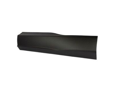 Ford FT4Z-5825557-AB Molding - Door Outside