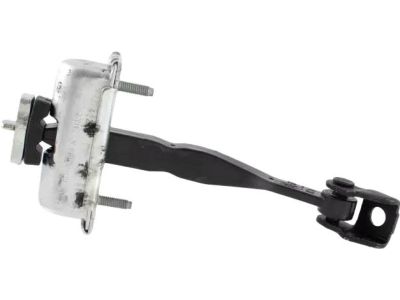 DT1Z-6123500-A Ford Check Assembly - Door Product Photo 1 of 3