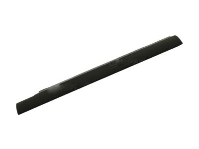 Ford YL3Z-1625597-AA Weatherstrip - Door Glass Channel