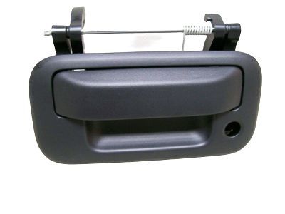 Lincoln Tailgate Handle - 8L3Z-9943400-AA