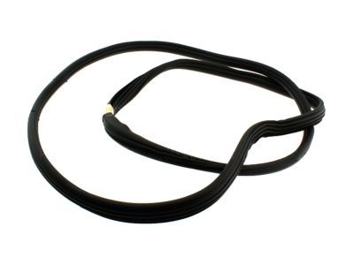Lincoln Navigator Weather Strip - 7L1Z-7820709-A