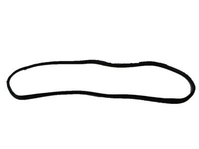 Lincoln Navigator Weather Strip - 7L1Z-7820709-A