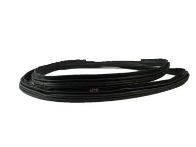 Lincoln Navigator Weather Strip - 7L1Z-7820709-A