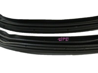 Lincoln Navigator Weather Strip - 7L1Z-7820709-A