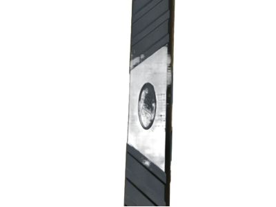 Ford BC3Z-16450-DA Step Assembly