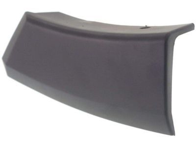 Ford 7L1Z-16039-BPTM Molding - Bumper Bar