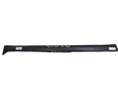5R3Z-6310176-AAA Ford Moulding, Passenger Side Product Photo 1 of 1
